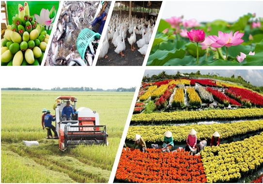 Bộ Công Thương ban hành Kế hoạch hành động thực hiện Nghị quyết số 19-NQ/TW về nông nghiệp, nông dân, nông thôn